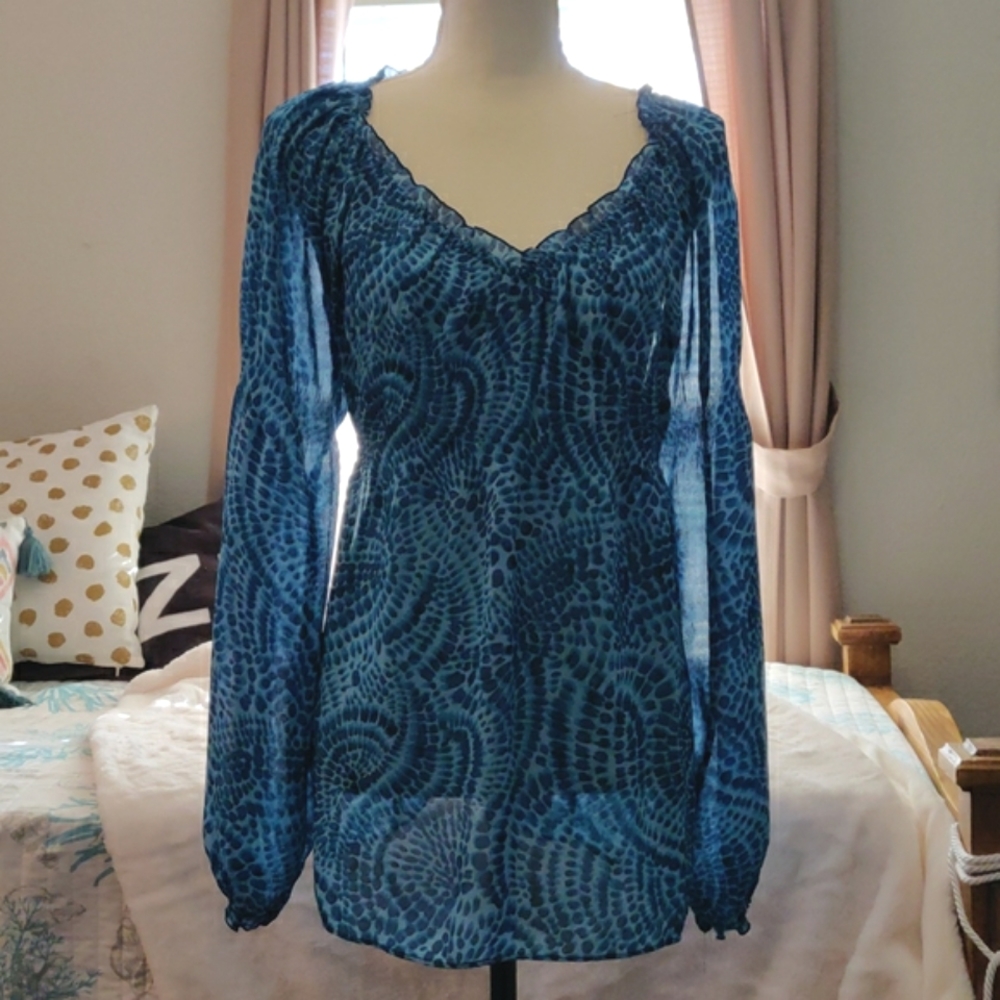 Sharagano Sheer Blouse